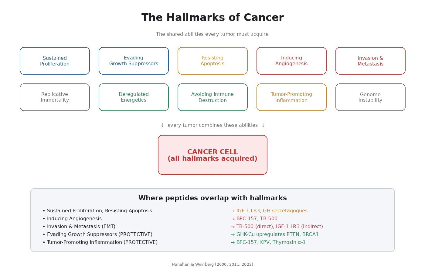 Figure 2.1 — The hallmarks of cancer: the common abilities tumors acquire as they evolve from normal cells.