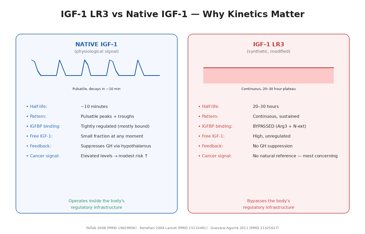 Figure 11.1 — IGF-1 LR3 vs native IGF-1. LR3 bypasses IGFBP regulation and produces sustained high-amplitude signaling. The pulsatile, IGFBP-regulated signal of native IGF-1 has no equivalent natural reference for LR3.