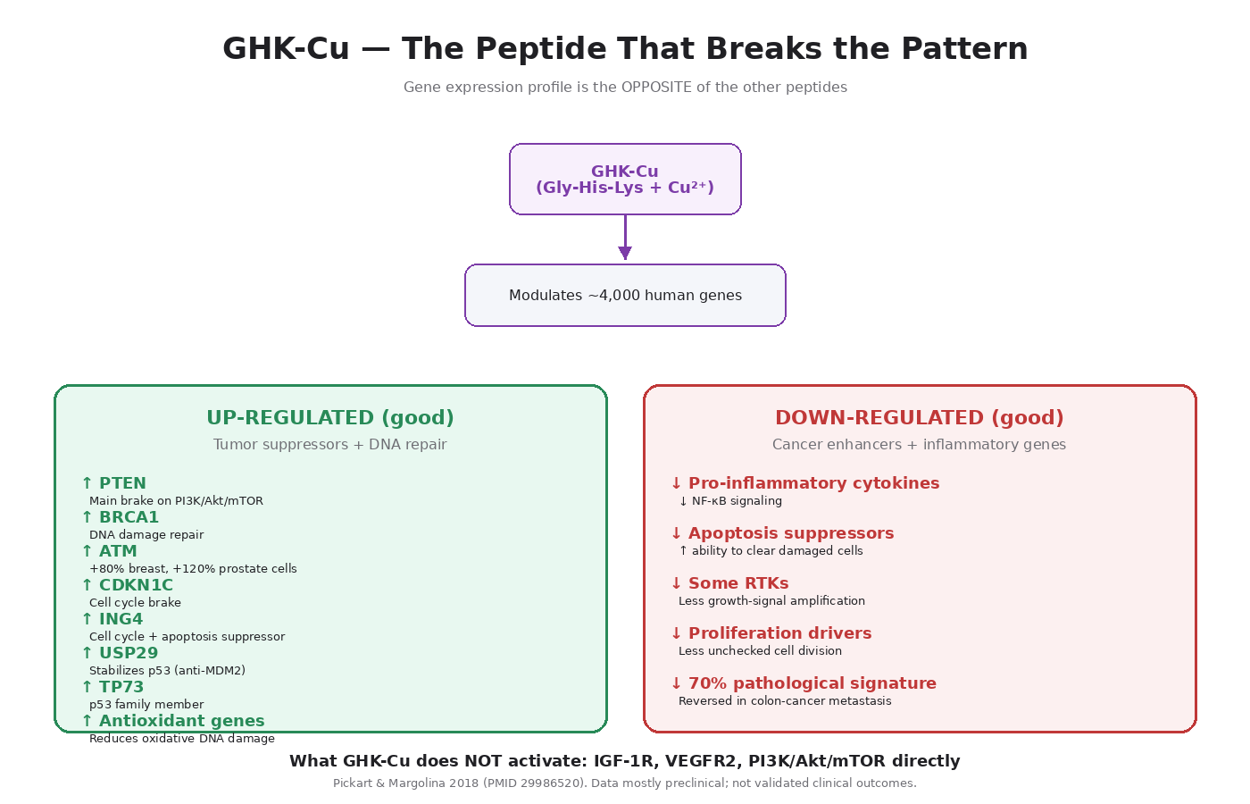 Figure 12.1 — GHK-Cu modulates thousands of genes. The pattern: tumor suppressors and DNA repair genes UP; oncogenes and cancer-enhancers DOWN. This profile is the opposite of the other regenerative peptides.