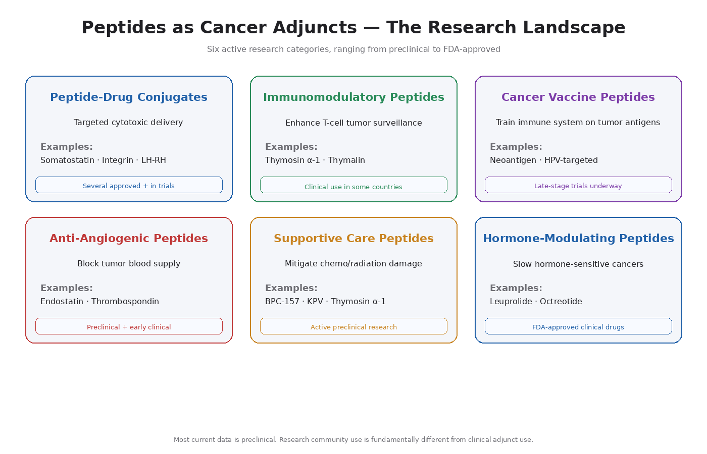 Figure 17.1 — Categories of peptide cancer research: peptide-drug conjugates, immunomodulators, cancer vaccines, anti-angiogenic peptides, supportive care, and hormone modulators.